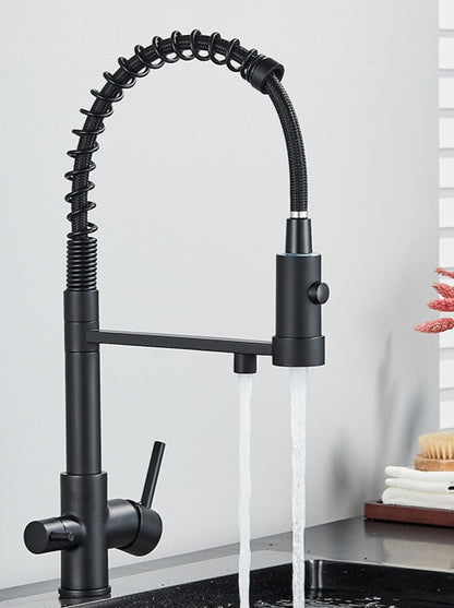 Field Filtering Kitchen Mixer