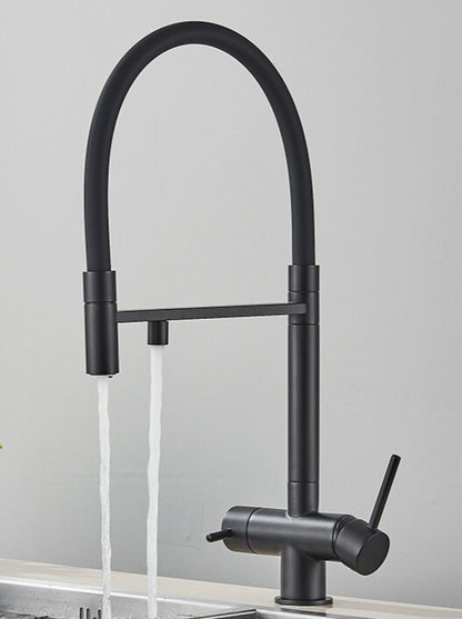 Mezclador de cocina filtrante Lynx